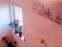 Appartement Alina 