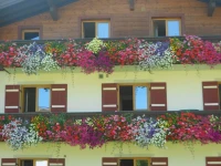 Apart Pension Martlhof 
