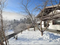 Finest Ski Chalet Leogang 