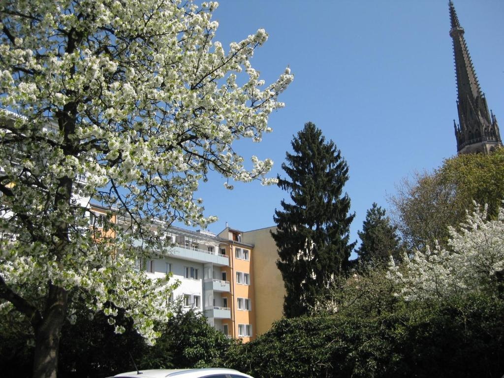 Dom Hotel 