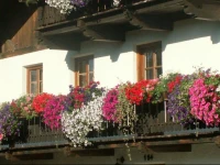 Boderhof 