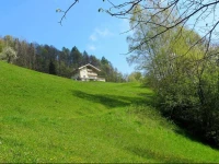 Apartment Maierhof 2 