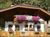 Appartement Taverne 