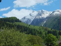 FeWo-Lerchbaumer 
