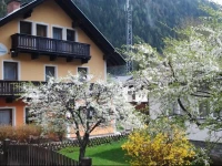 SГ¤uleck Appartement 