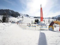 Chalet Sonnberg 