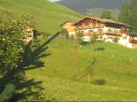 Viehhofbauer 