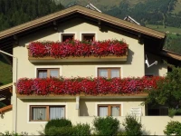 Appartement Sylvester 
