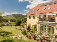 ad vineas GГ¤stehaus Nikolaihof-Hotel Garni 