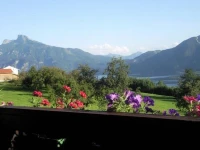 Dirnbergerhof 