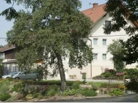 Kuscherhof 