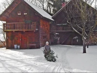 Holiday home Troadkasten Neuhofen 