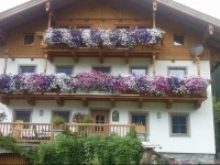 Bauernhaus Behamhof 