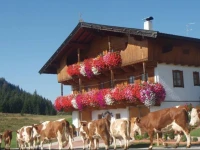 Appartement Sonnrast 