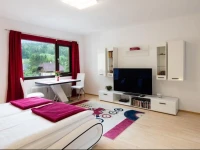 W & S Executive Apartments - Obertraun 