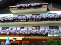 Gasthof Pension Alpina 