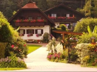 Blumenpension Strauss 