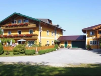 Gasthof David 