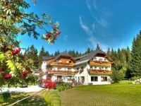 Alpengasthof Pension Fichtenheim 