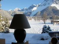 Alpin Appartement Reinhard Tritscher 