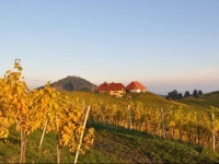 Weingut KГ¶gl 
