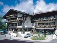 Hotel-Gasthof Traube 