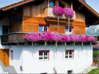 Apartments SchГ¶ll 