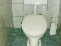 Apartment St. Andra am Zicksee 1 