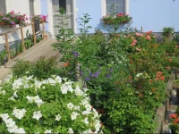 Ferienapartment Sattler 