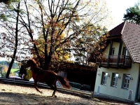 RГ¶merhГјtte 