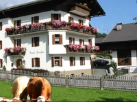Erlebenswert Bauernhof Gruber 