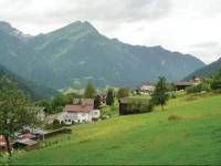 Apartment Gallenkirch with Mountain View 03 