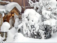 Apartment St Gallenkirch III 
