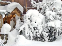 Apartment St Gallenkirch V 