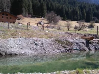Neuberg Alm 