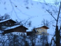 Holzlehenhof 