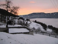 Ferienwohnungen Bacherhof 