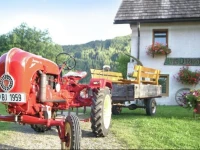 DornrГ¶schen 
