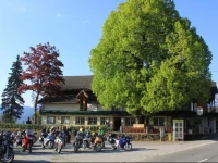 Naturgut Matschiedl 