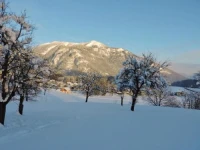 Leitenbauer 