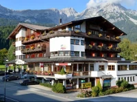 Hotel Alpin Scheffau 