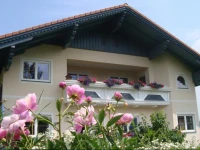 Appartement Alpenblume 
