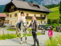 SchГ¶nauerhof 
