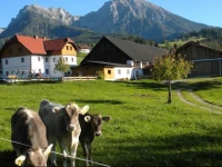 Bio-Urlaubshof Dansbach 