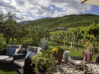 Weingut Donabaum "In der Spitz" 