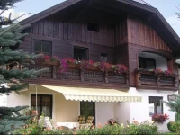 Apartment Strobl 2 