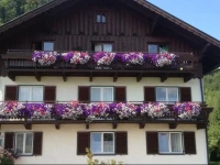 Ferienwohnung Annemarie Limbacher 