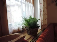Ferienwohnung Schustererhof 