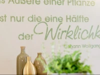 himmlisch urlauben SГ¶chau 
