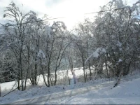 Almchalet 
